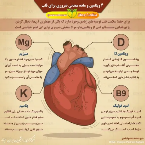 ✳️اینفوگرافیک/ ۴ ویتامین و ماده معدنی ضروری برای قلب