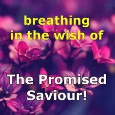 breathing in the wish of the promised saviour