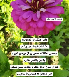 مذهبی zynbngrawy4 27746736