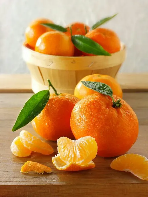 عکس میوه ها 🍏🍊🍊🍊