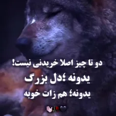 کیرم تو هرچی عشقه 

 به هرکی محبت کردیم 
خنجرشو خوردیم🖤