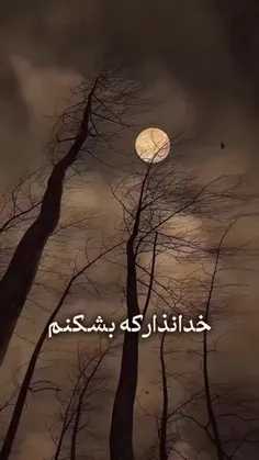 خدا نذار که بشکنم🤲🥺🥺