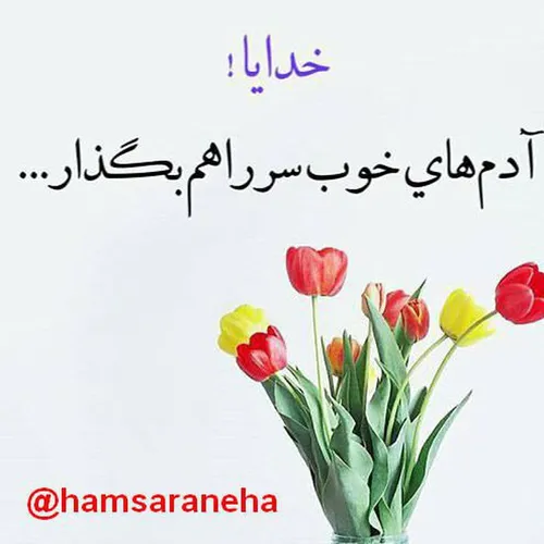 گلی از شاخه اگر می چینیم