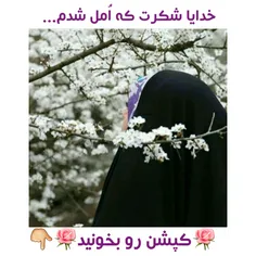 🌸 یــاعَلـــ❤ ـــے🌸 :