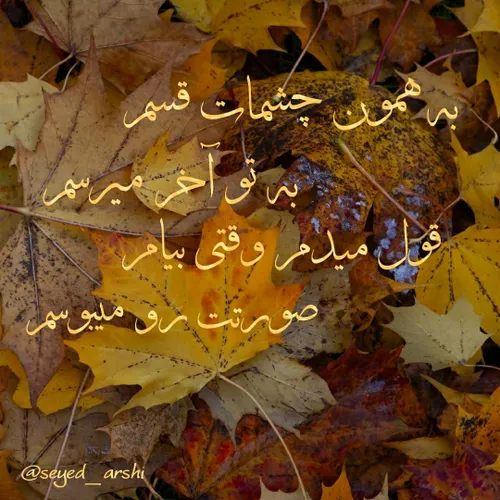 شعر گرافی سید عرشی