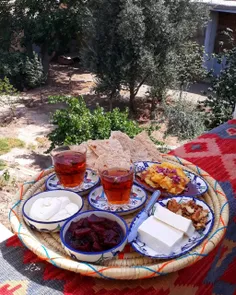 زندگی کن 