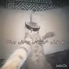 خوشبحالتون کثافت های خرشانس 🫶🏻🥹