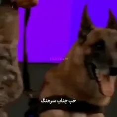 باح باح