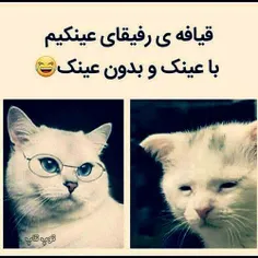 "_  😶😔😐☺😃😂😂😂