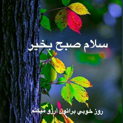 سلام صبح بخیر