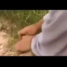 بنام خداوند بخشنده مهربان 