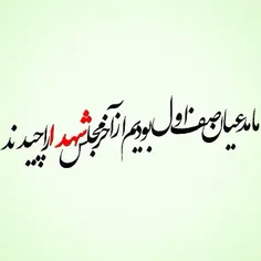 السلام علیک یا قمر بنی هاشم
