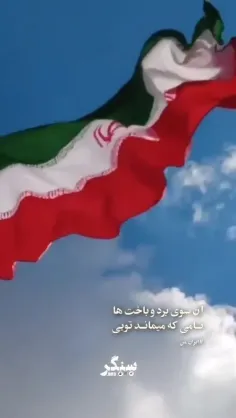 آن+سوی+برد+و+باخت+ها+