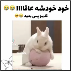 واییی خدااااا 🥹🫀