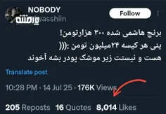 مخالفت کورکورانه با نظام