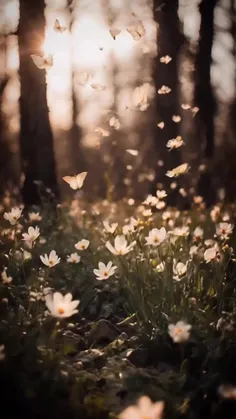 ⁨	پسر فاطمه ببخش ولی