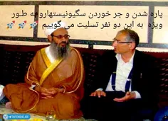 همونطور که آب می گرده چاله‌ش رو پیدا می کنه ، فاضلاب هم ه