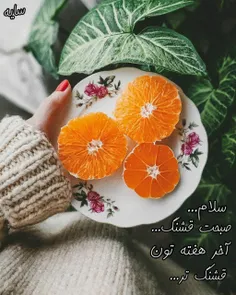 صبح شد بیدار شو،