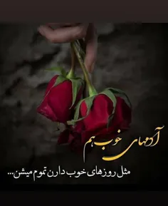 عکس نوشته l.baran.payizi.l 31643233