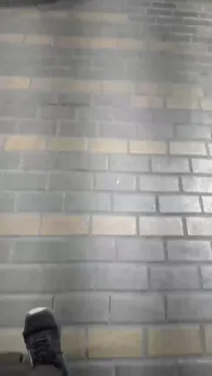 تعدادی از آمرین به معروف شب جمعه جهت ادای وظیفه شرعی در م