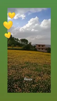 خدایا شکرت برای همه این زیبایی هات💛😇