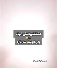 سریال  دوازده