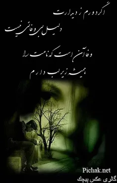 شعر ناب