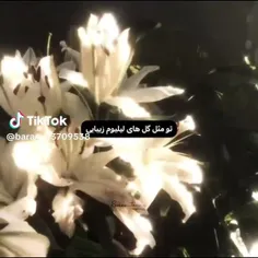 بفرست براش🦋✨️