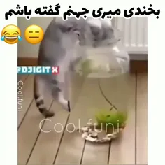 پارعععععع🤣