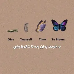 #انگیزشی𝓼𝓱𝓮 𝔀𝓪𝓼 𝓫𝓮𝓪𝓾𝓽𝔂.....🦋