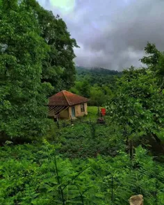 ما در دلتنگی دستی نداشتيم؛