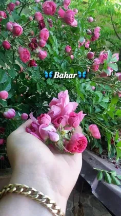 چنانم در دلی حاضر که جان در جسم و خون در رگ ...💞