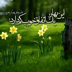 یابن الحسن(عج)