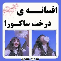 افسانه ژاپنی درخت ساکورا🧸🧤☕💜