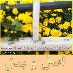 اصل و بدل 