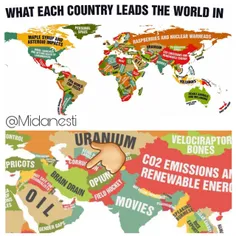 نقشه ای که نشون میده هر کشوری بیشتر به چه چیزی در دنیا مع