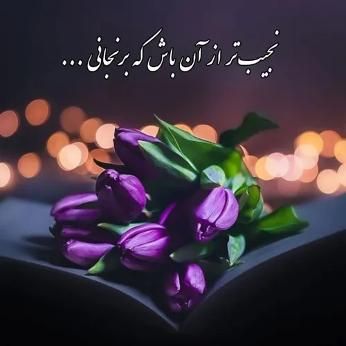  00313 44688425 - عکس ویسگون