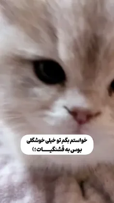 خواستم بگم تو.... 