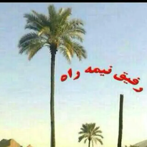 خدا رحمتش کنه