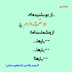 #سعید_فلاحی