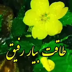 🌹درود بر شما دوستان مثبت اندیش روز خوش🌹