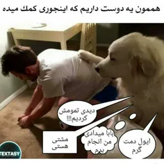 خخخخ