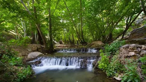 بهشت گم شده نام منطقه ای خوش آب و هو و سرسبز در شهرستان م