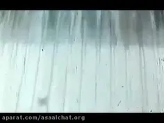 omedashore61 67645256