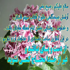 #سلام_علیکم ، #صبح_بخیر 