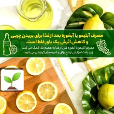 همیشه سبز با طراوت شاداب *Arvij *