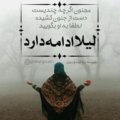 نفیسه سادات موسوی مجنون جنون لطفا لیلا