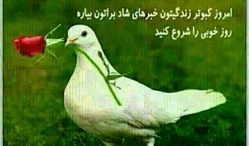 سلام به همگی...........ببخشید نت ضعیفه دنبالیا دارن مرن