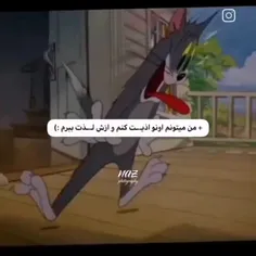 sogole_army 73933096
