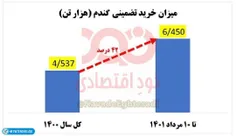 رشد ۴۲ درصدی خرید تضمینی گندم‌‌ توسط دولت 13: کشاورزان دی